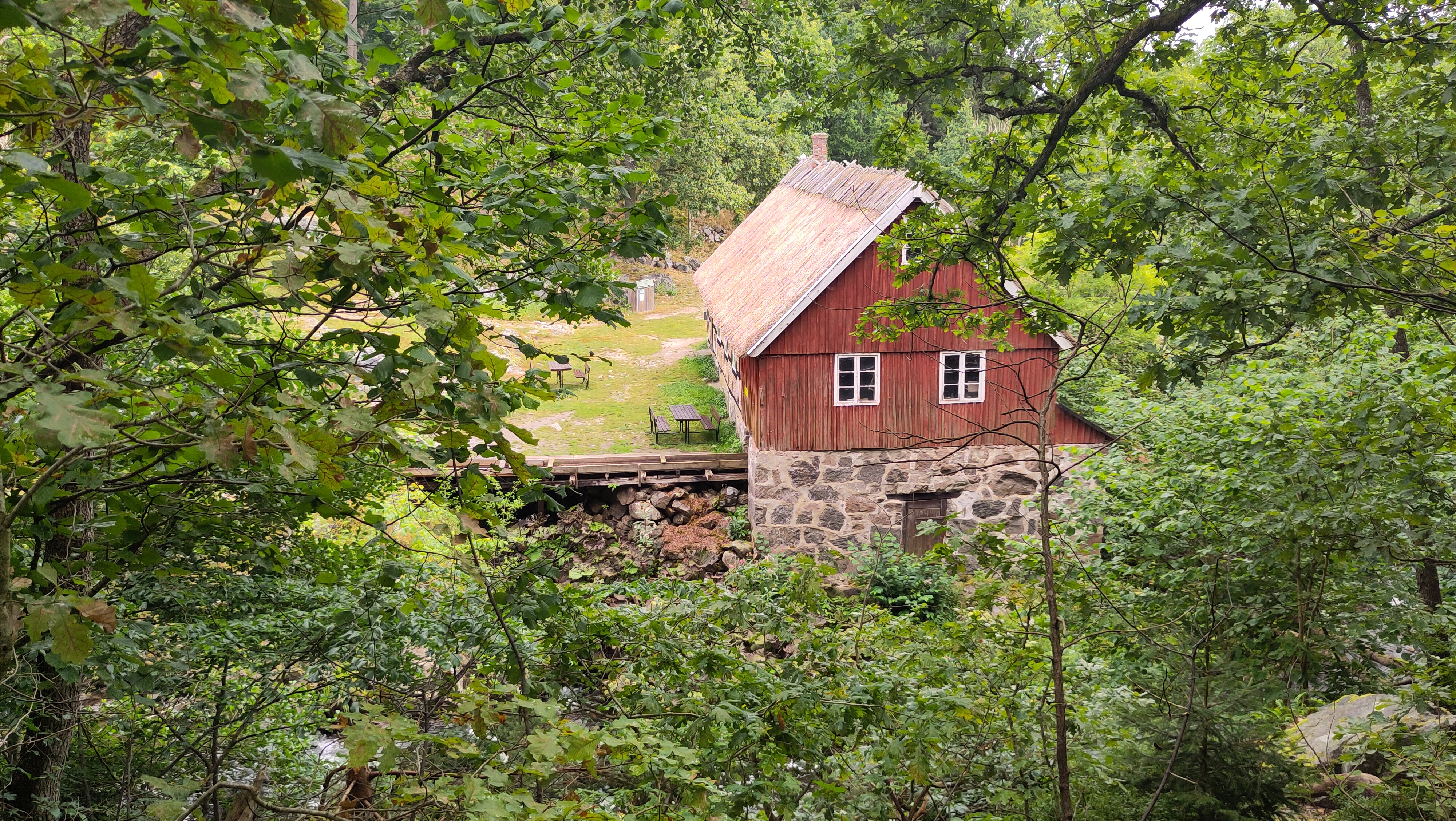 08.08.2024 08:54 Uhr, Wanderung an und um die Hallamölla Vattenfall - Hallamühle GPSPosition: 55.707978 N, 14.017519 E, Höhe: 117.053 m über NN HALLAMÖLLA 102, 273 57 Brösarp, Sweden