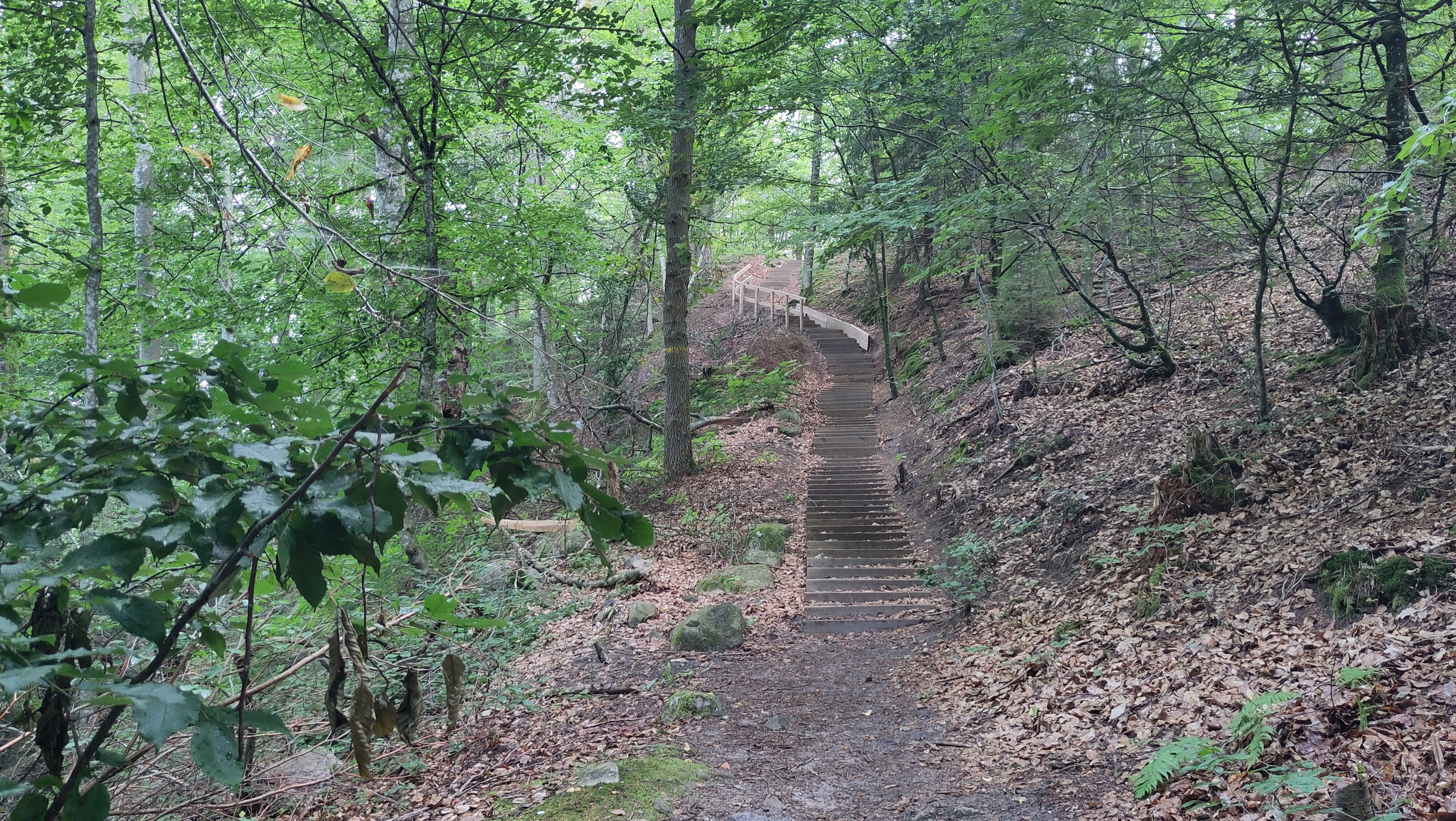 08.08.2024 09:04 Uhr, Wanderung an und um die Hallamölla Vattenfall - Hallamühle GPSPosition: 55.708956 N, 14.024331 E, Höhe: 98.186 m über NN P25F+HP Eljaröd, Sweden