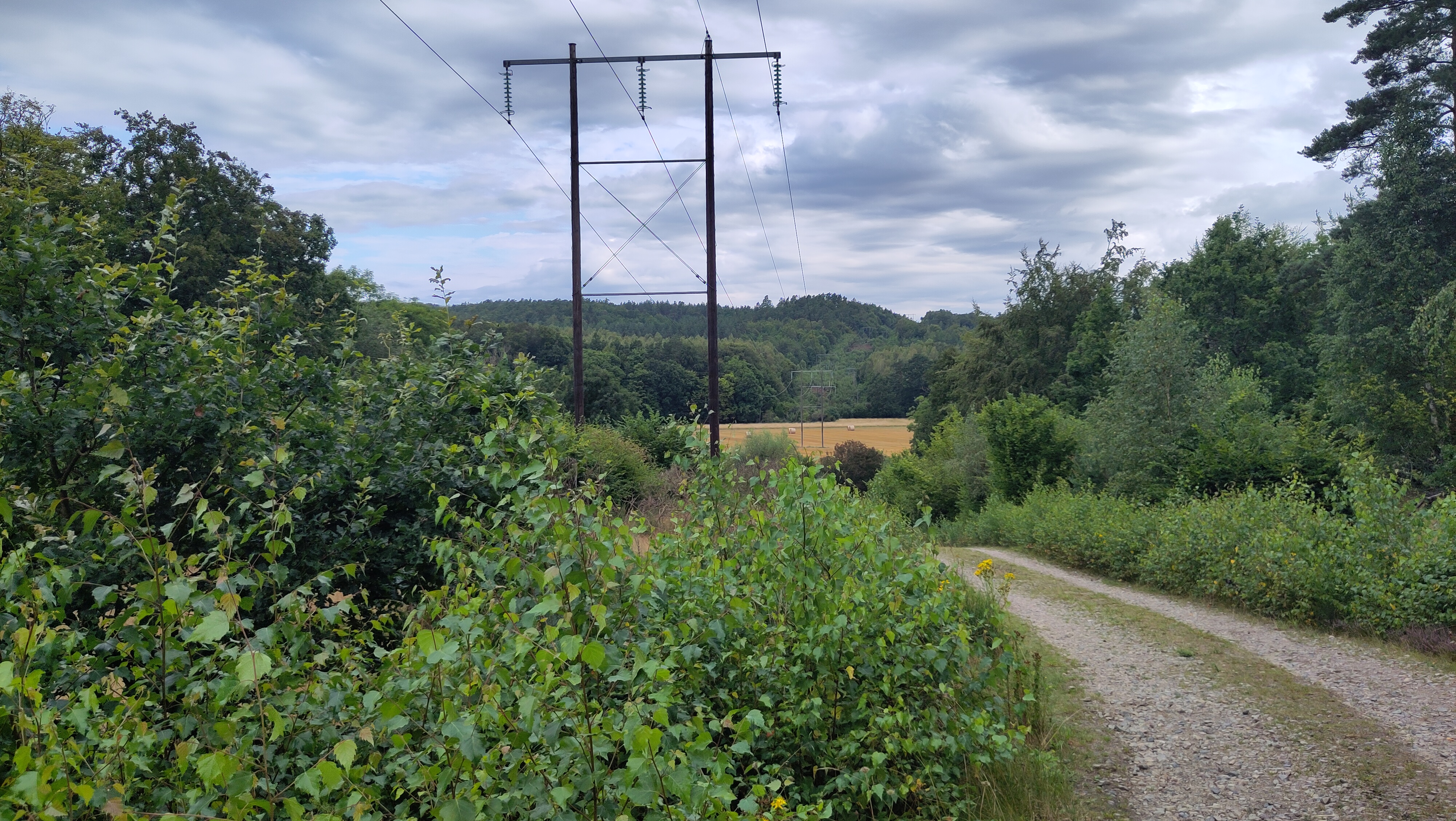 08.08.2024 09:38 Uhr, Wanderung an und um die Hallamölla Vattenfall - Hallamühle GPSPosition: 55.716967 N, 14.058019 E, Höhe: 80.346 m über NN BRÖSARPS ÄNGAR 8708, 273 55 Brösarp, Sweden