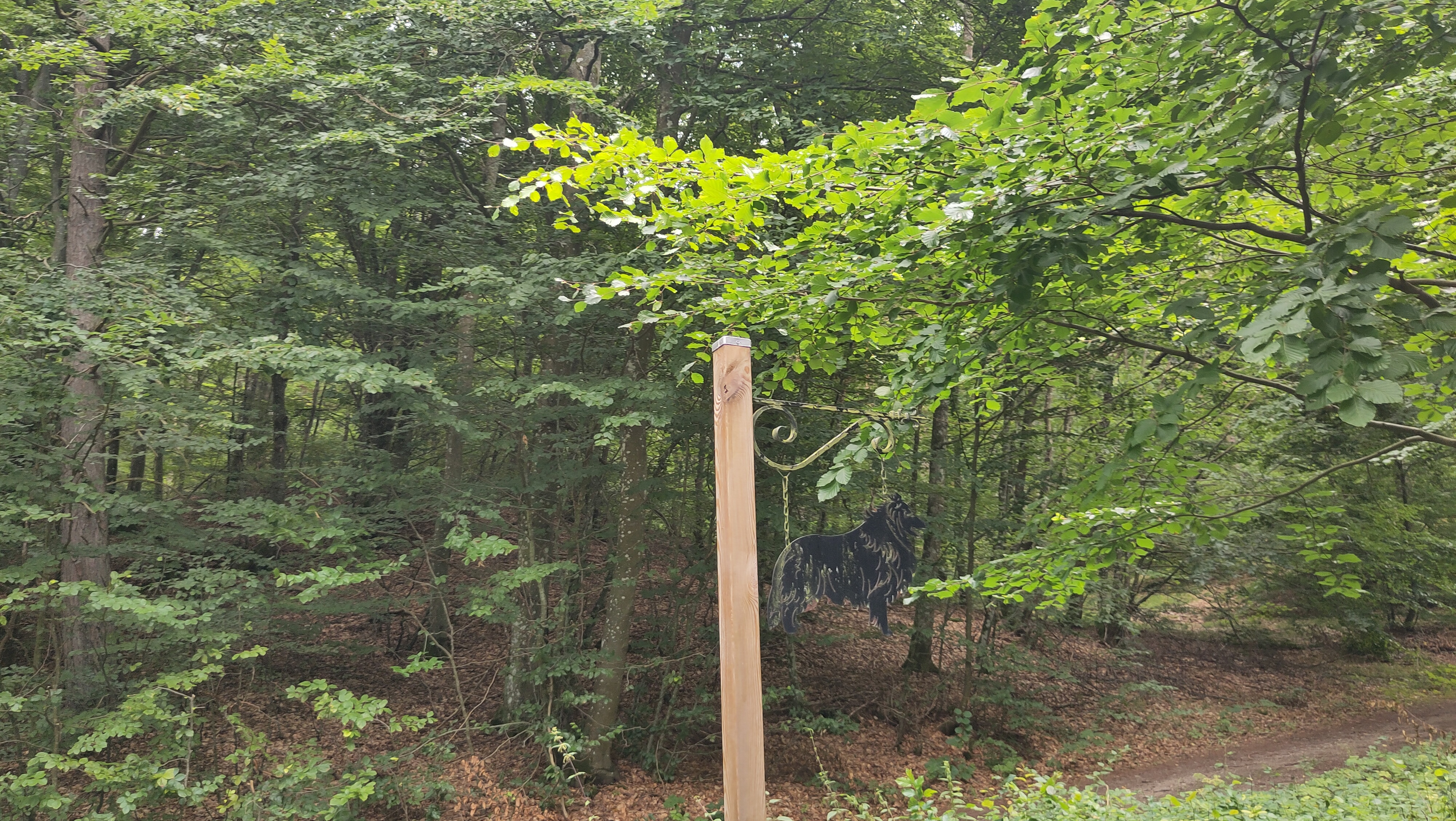 08.08.2024 09:40 Uhr, Wanderung an und um die Hallamölla Vattenfall - Hallamühle GPSPosition: 55.718183 N, 14.058958 E, Höhe: 73.479 m über NN BRÖSARPS ÄNGAR 8708, 273 55 Brösarp, Sweden