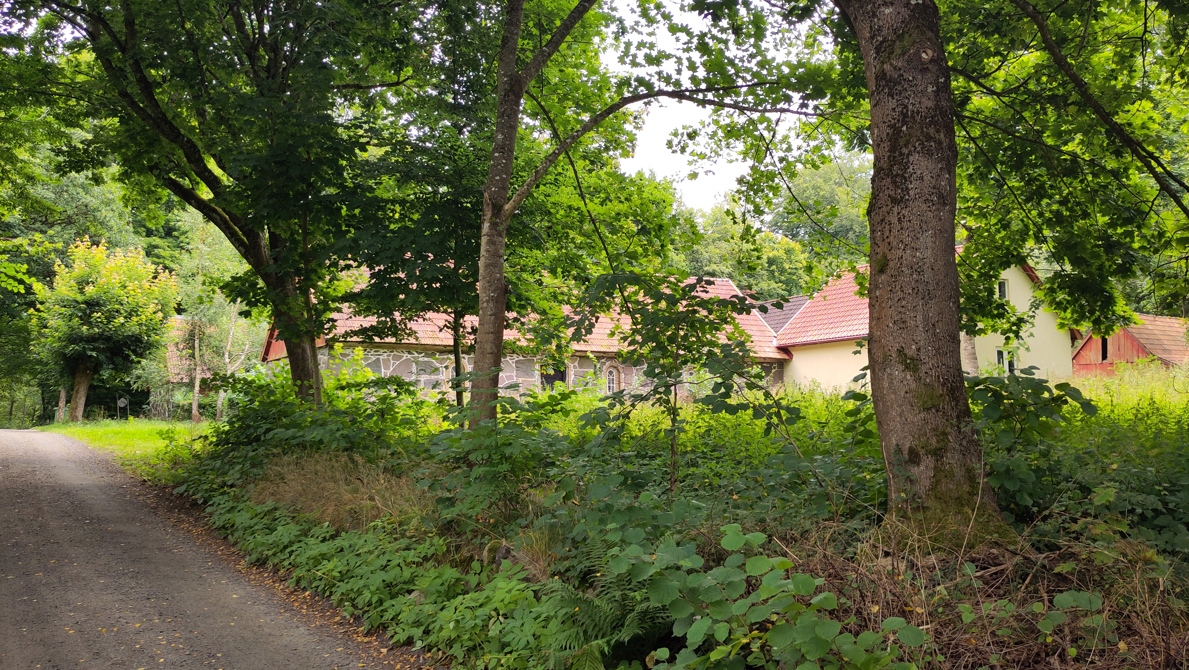 08.08.2024 09:46 Uhr, Wanderung an und um die Hallamölla Vattenfall - Hallamühle GPSPosition: 55.720175 N, 14.065319 E, Höhe: 70.215 m über NN BRÖSARPS ÄNGAR 923, 273 55 Brösarp, Sweden